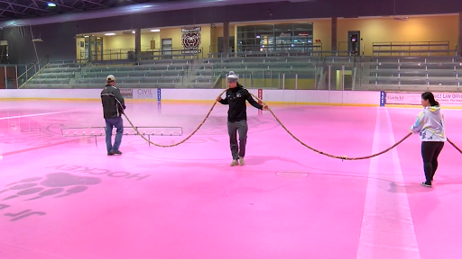 Springfield Thunderbirds Pink in the Rink – Strikeouts + Sprinkles