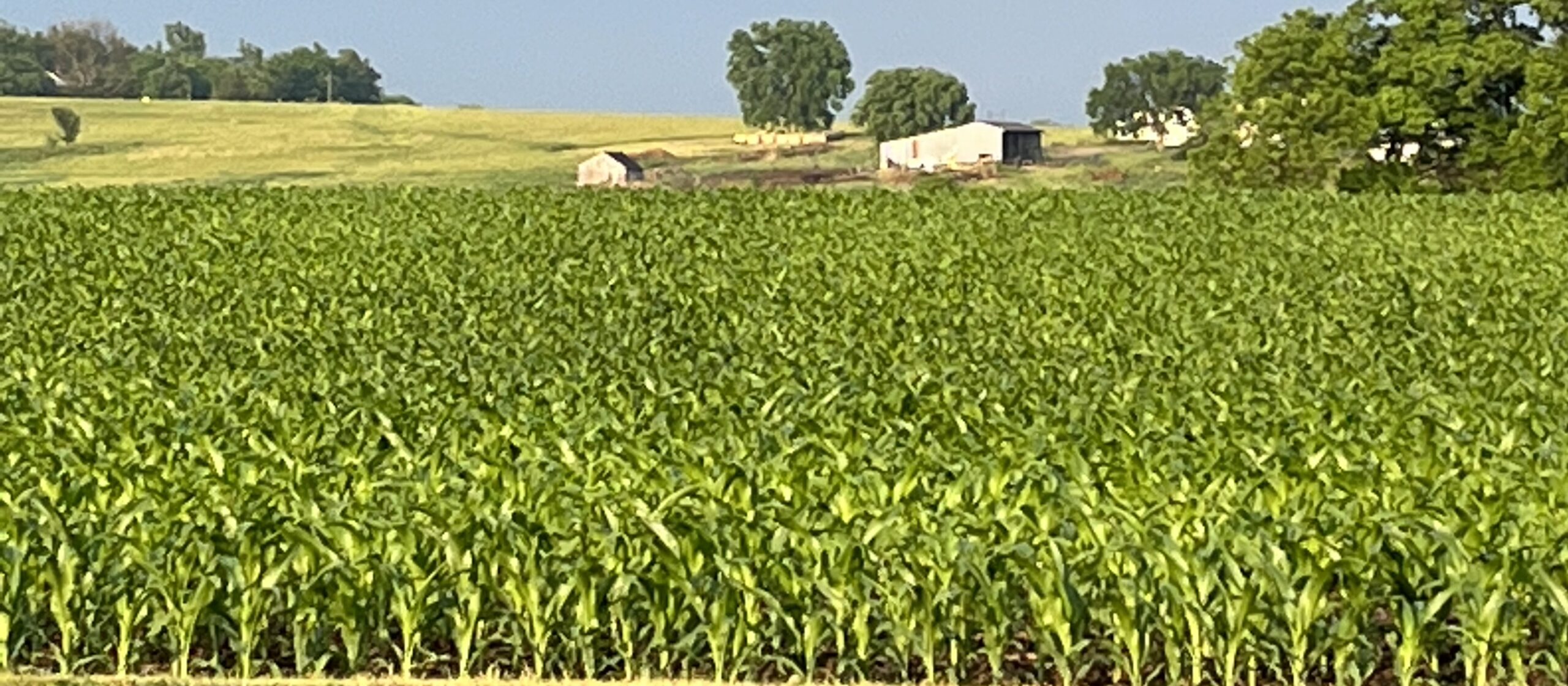 Report Missouri farm to drop 11 this year The HeartlanderThe Heartlander