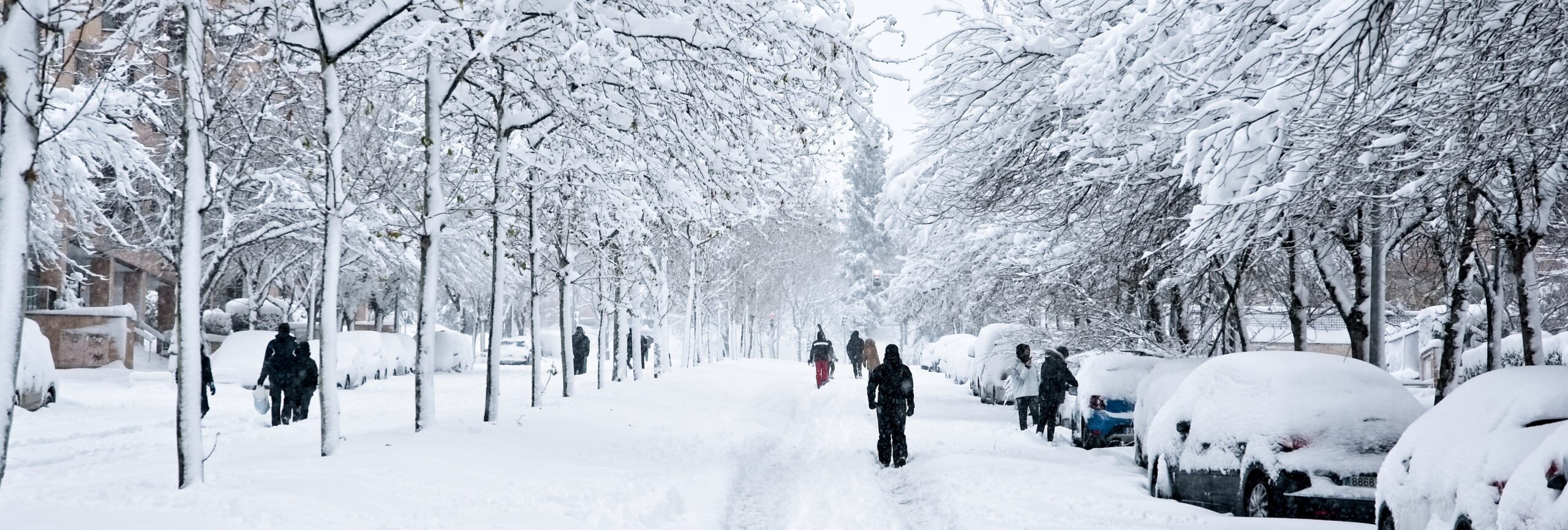 Major snow and ice storm shrouds, freezes in place much of Kansas