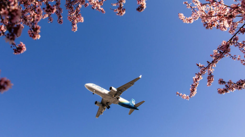 Flight attendants fired over opposition to Equality Act to finally get their day in court after 9th Circuit ruling